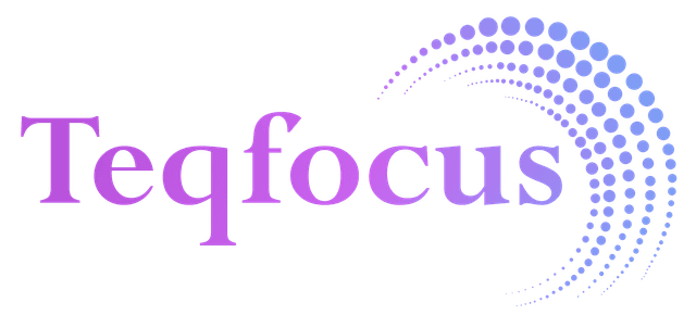 Teqfocus Consulting LLC